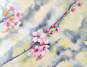 Akwarela 30x40 - "Gałązka wiśni"