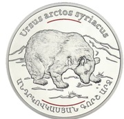 100 Dram Niedźwiedź syryjski 