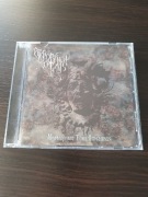 Revelation of Rain (Otkroveniya Dozhdya)