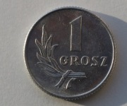 Moneta 1 grosz 1949