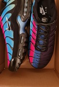 Nike Air Max Plus 44 