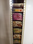 O zaklętym Kaczorze Dziwaczka Bajka Bajki na Rzutnik projektor Bajek Ania