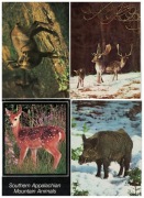 04-AU10-Fauna-Zwierzeta leśne,1970-80r