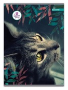 ZESZYT A5 KRATKA 80 K KOTEK SWEET PETS BENIAMIN