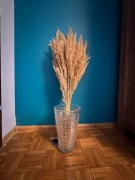 Trawa suszona do wazonu jasnobeżowa Boho 