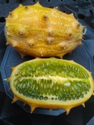 Kiwano, ogórek afrykański. Nasiona.