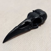 Czaszka kruka  Naszyjnik / zawieszka 