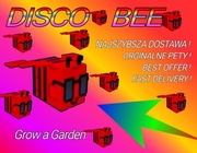 Roblox Grow a Garden DISCO BEE !!! NAJ TANIEJ ! ORGINAŁ PET !!! FAST !!!