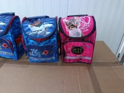 Tornister Szkolny Ergonomiczny – Usztywniany | Wzór Samolot lub Kotek