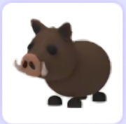 Wild Boar | Roblox | Adopt me |