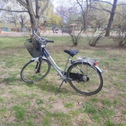 Rower miejski Sparta Pallas