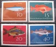 Fauna ryby 412 - 5 **