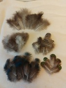 Pawie piórka- do prac plastycznych, decoupage, scrapbooking...