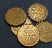 Moneta Kanada 1 cent 1981