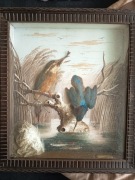 Obrazy unikaty -1907 wypchane ptaki 