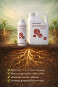 ROOTAMIN PRO - stymulator rozwoju roślin, 1 Litr
