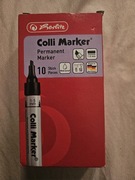 Marker wodoodporny 10sztuk