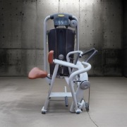 Atlas maszyna na plecy grubość Low Row - Technogym - również inne zobacz...