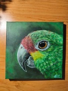 Obraz na płótnie,20x20, Papuga