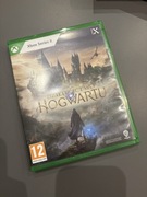 Dziedzictwo Hogwartu Hogwarts Legacy Xbox Series X