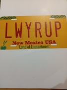 Tablica rejestracyjna replika kopia New Mexico USA 30,5x15,5 cm  