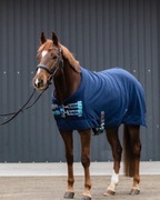 Derka polarowa dla konia i kuca