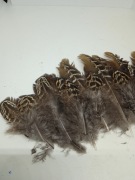 Piórka bażanta naturalne 6-12cm pióra kaczki gęsi 5 sztuk 