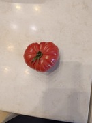 Heart shaped tomato