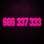 Złoty Numer 666 337 333