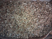 Sprzedam  orzechy włoskie łuskane 