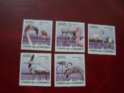 Komory 2009 MNH Fauna Ptaki Flamingi