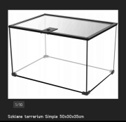 Terrarium dla gada pająka 
