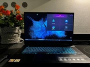 MEDION Defender P10, Intel Core i5-10300H, 24GB RAM, NVIDIA GeForce RTX3060