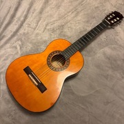 Gitara klasyczna 1/2 Alvera AGC100 z pokrowcem Ever Play