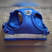 Niebieskie odblaskowe szelki dla małego psa