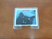MiniDisc TDK MD RXG 74 