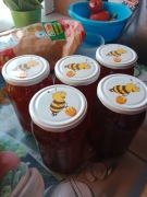 Naturalny prawdziwy miód z własnej pasieki 