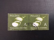 Fi 3124 Parka / Rocznik 1990