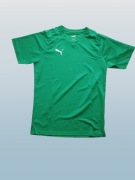 PUMA LIGA Jersey Core 703509-05  EU 44/46 (S)  zielona  klatka 102 cm