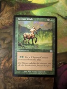 Centaur Glade ONS