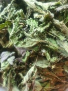 Pokrzywa suszona 50 g
