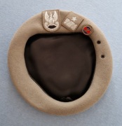 Beret JWG                        