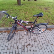 Rower Kross Hexagon 1.0