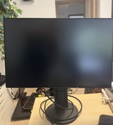 Uszkodzony monitor eizo flexscan 2456