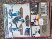 Warhammer Fantasy Battle Chaos Daemons Flamers of Tzeentch