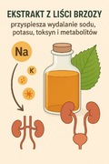 Ekstrakt z liści brzozy 50 ml