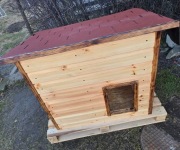 Buda dla psa ocieplana