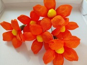 Zestaw 6 szt. kwiatów,  palma wielkanocna 