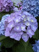 Projektowanie i aranżacja ogrodów | Kraków – Brzesko – Bochnia - okolice