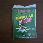 lep na myszy i szczury